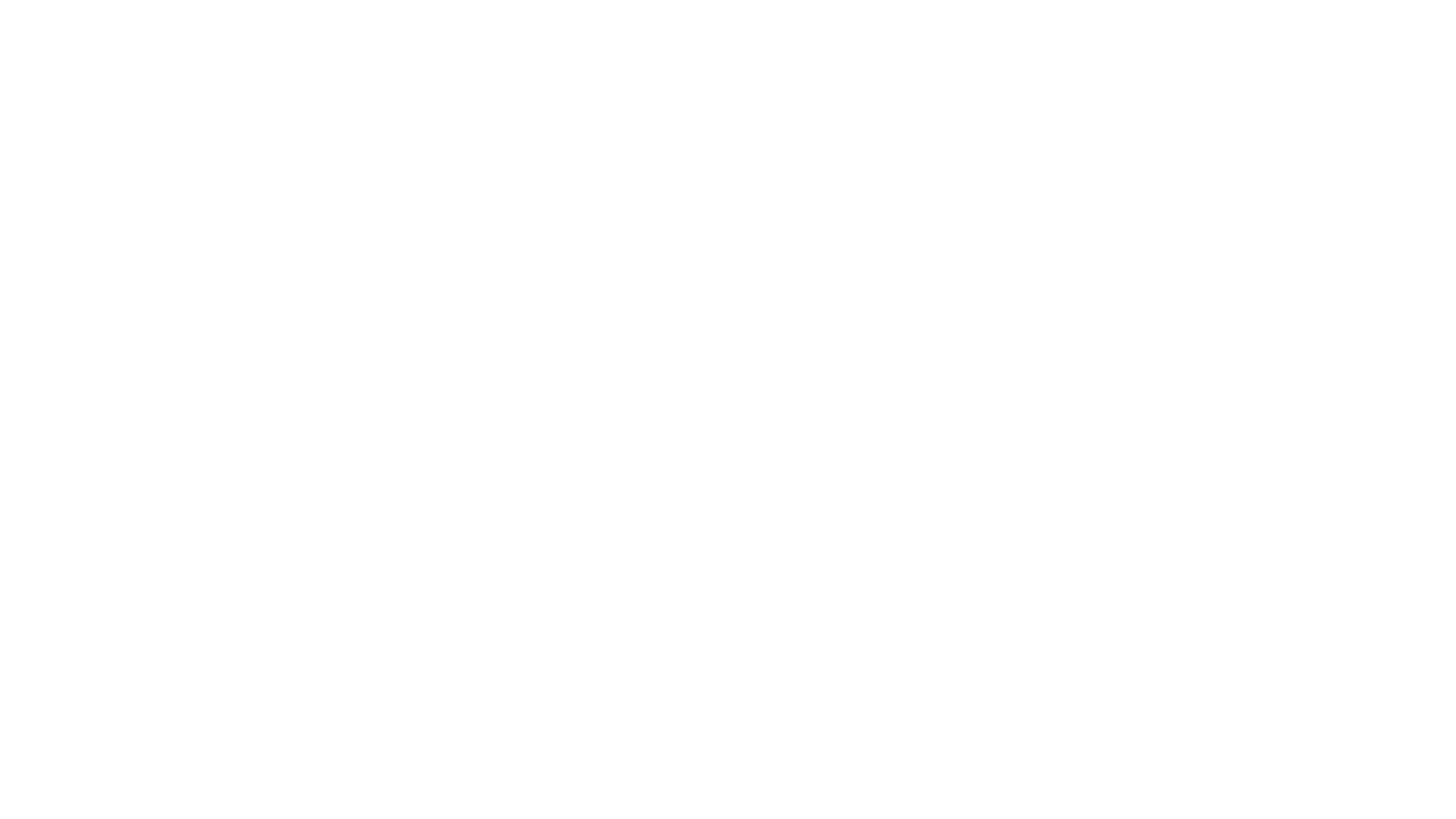 Денис Любимцев — Ведущий